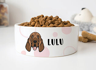 Gifts for Bloodhound lovers