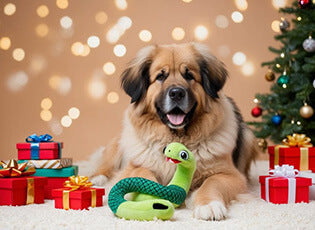 Gifts for Great Pyrenees lovers