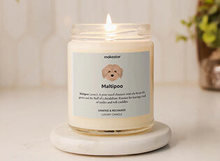 Gifts for Maltipoo lovers