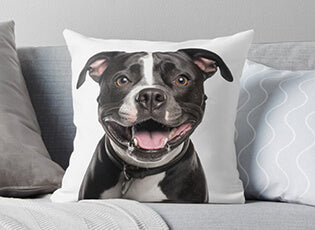 Gifts for American Staffordshire Terrier lovers