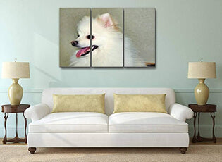 Gifts for pomeranian lovers
