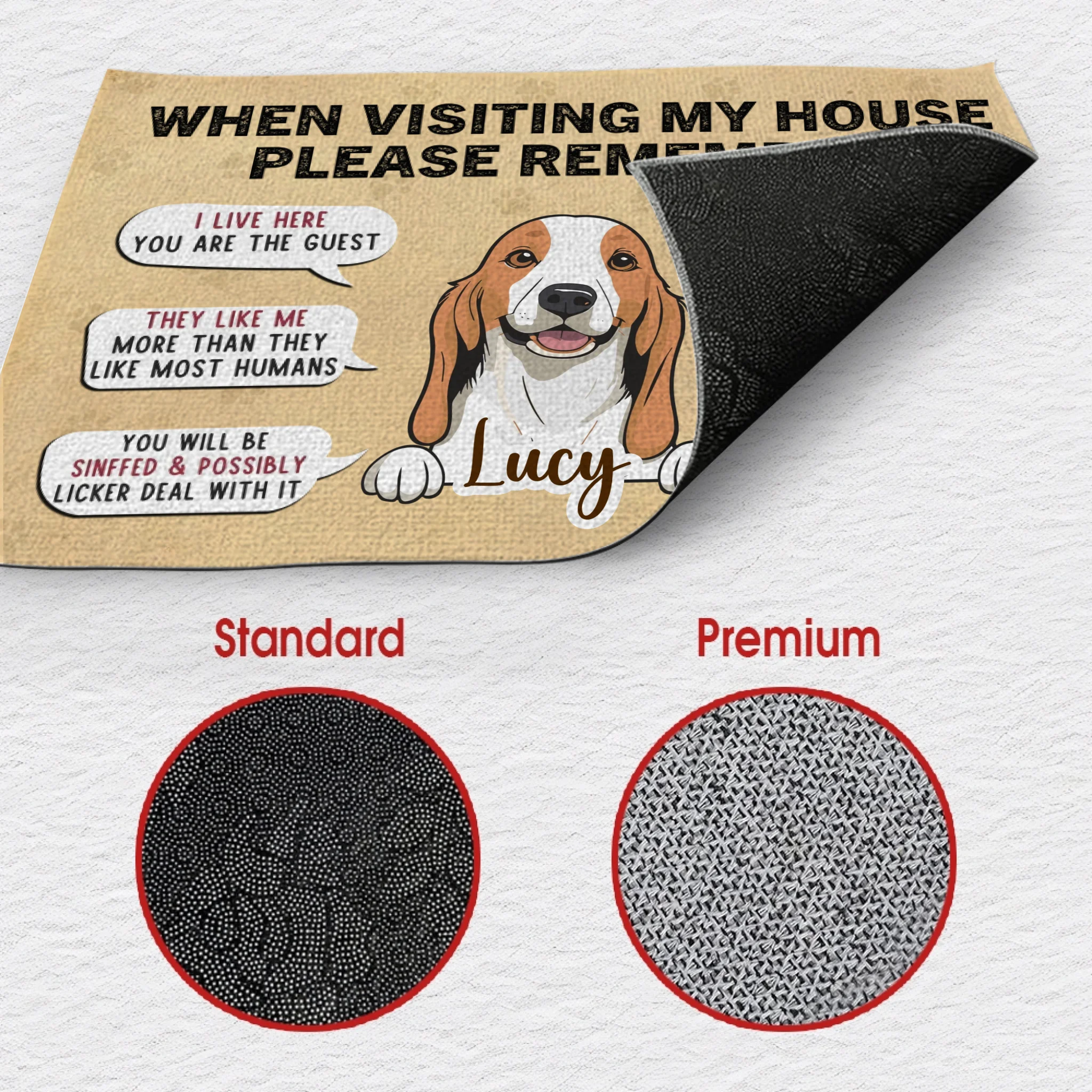 Sassy Dog Doormat – “When Visiting My House” Funny Personalized Mat - 89Prints