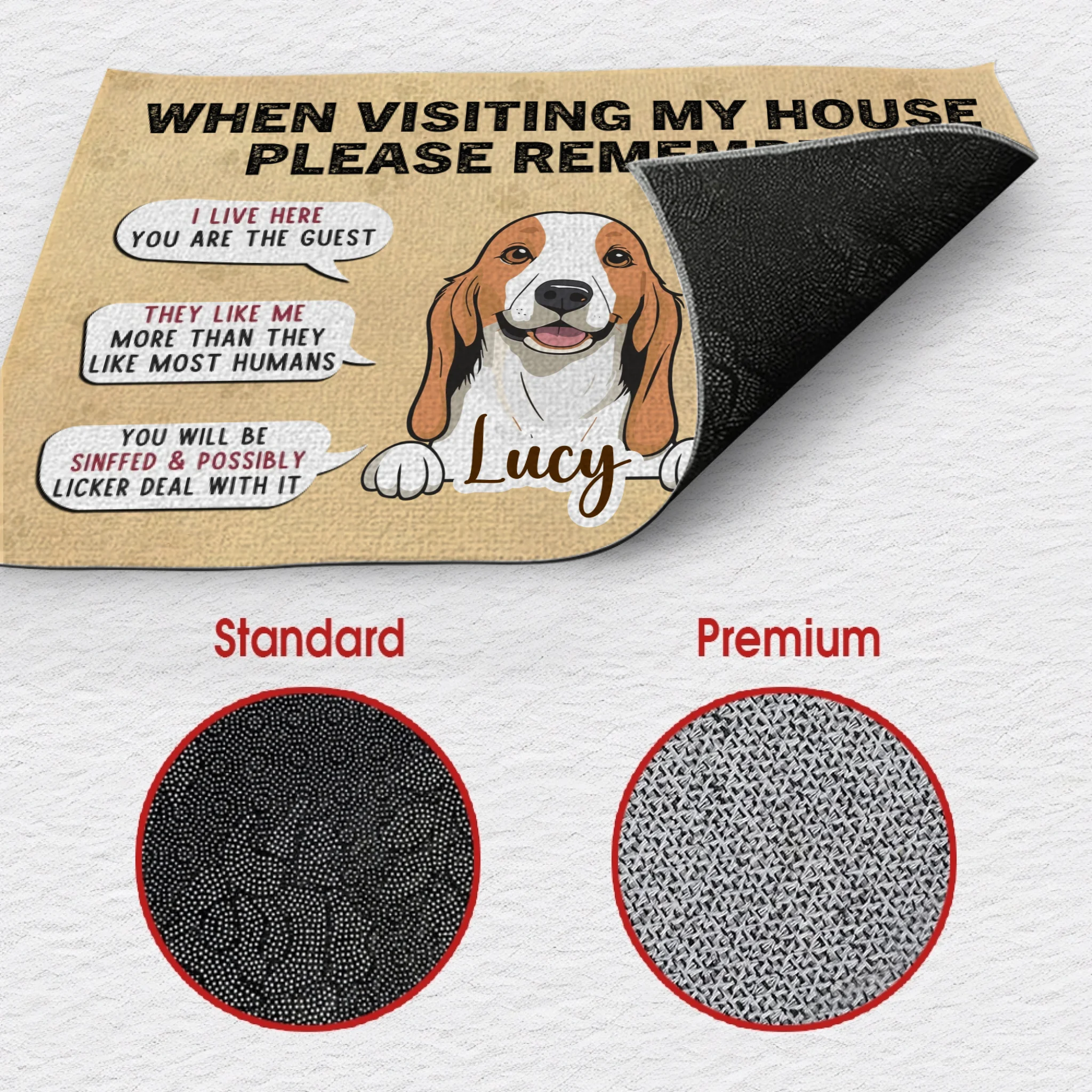 Sassy Dog Doormat – “When Visiting My House” Funny Personalized Mat - 89Prints