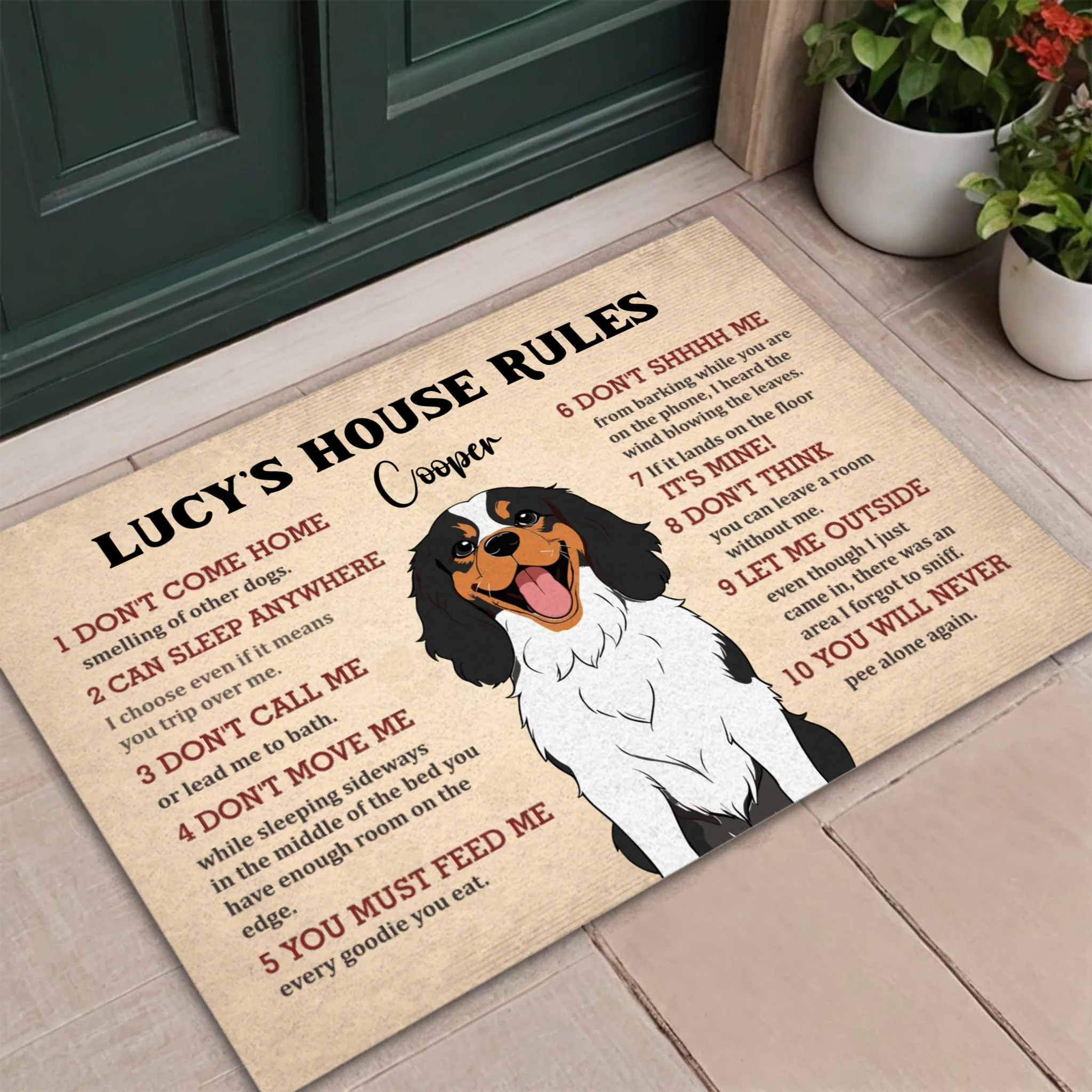 Personalized Dog Doormat – Funny House Rules Mat for Pet Lovers - 89Prints