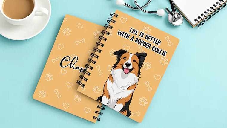 Border Collie gitfs featured image