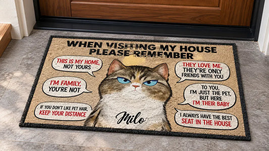 cat doormat custom featured image
