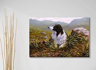 Gifts for Border Collie lovers