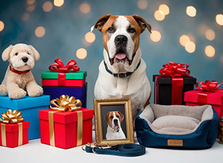 Gifts for Cane Corso lovers