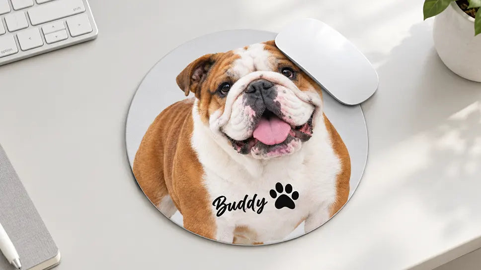 Gifts for english bulldog lovers featured image