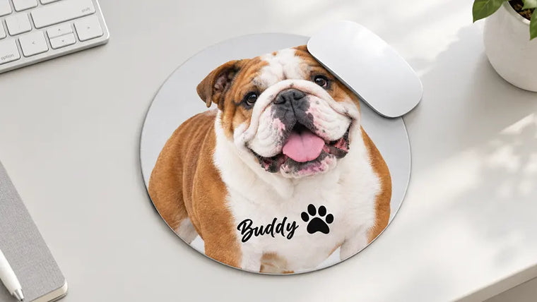 Gifts for english bulldog lovers featured image