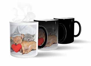 Preserve magic mugs