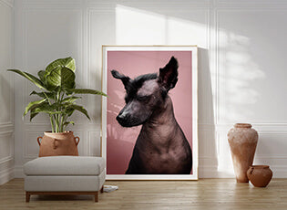 Gifts for Mexican Hairless Dog lovers