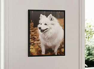 Gifts for Samoyed lovers
