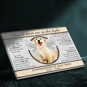 Meet Me in the Light: Personalized Pet Memorial Canvas Painting at 89Prints