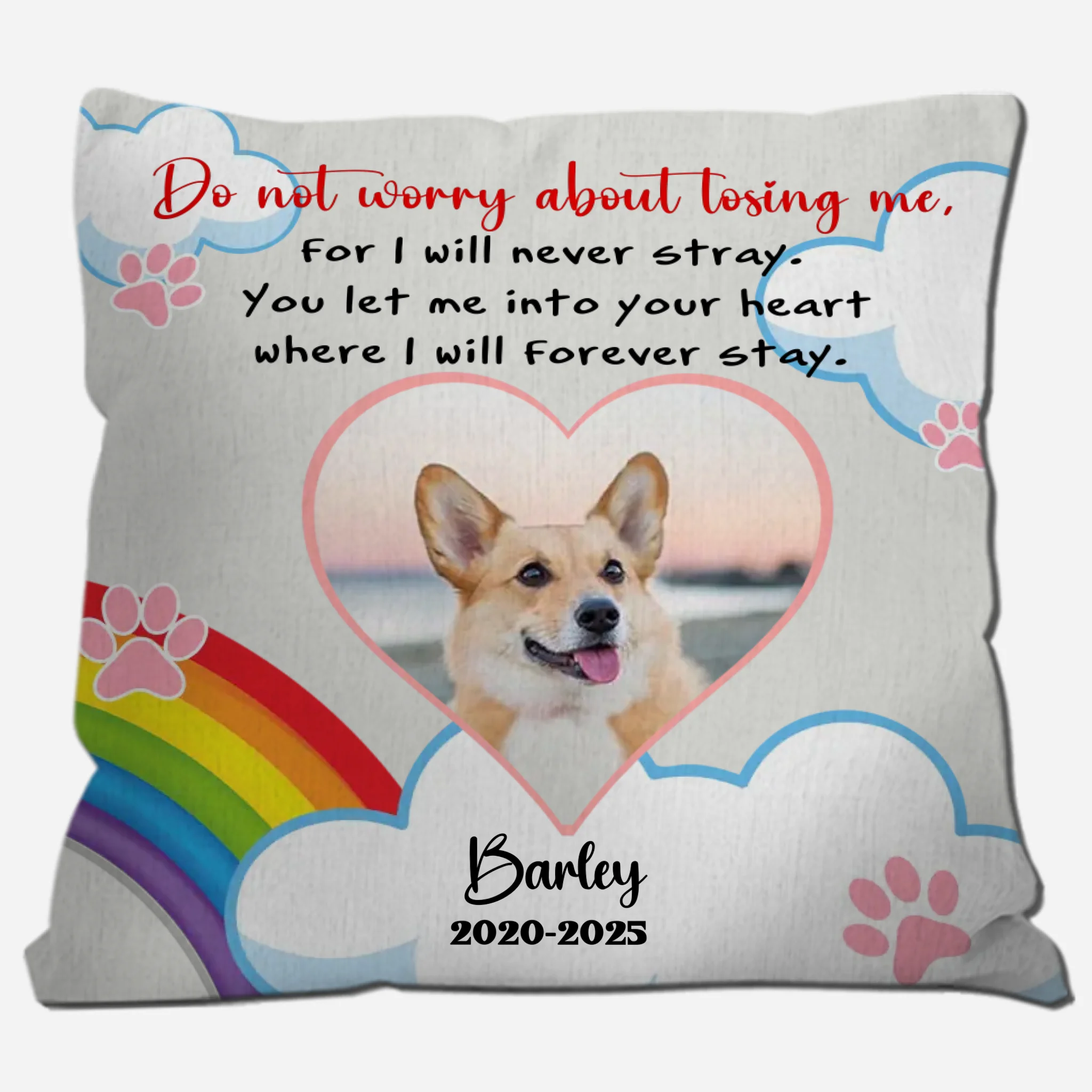Personalized Pet Pillow Memorial - Do Not Worry About Losing Me Quote - 89Prints