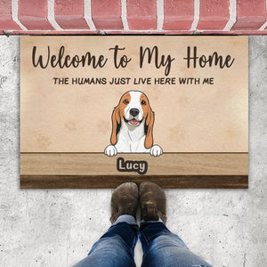 Welcome to Our Home Custom Dog Doormat | Personalized Pet Name Mat – 89Prints