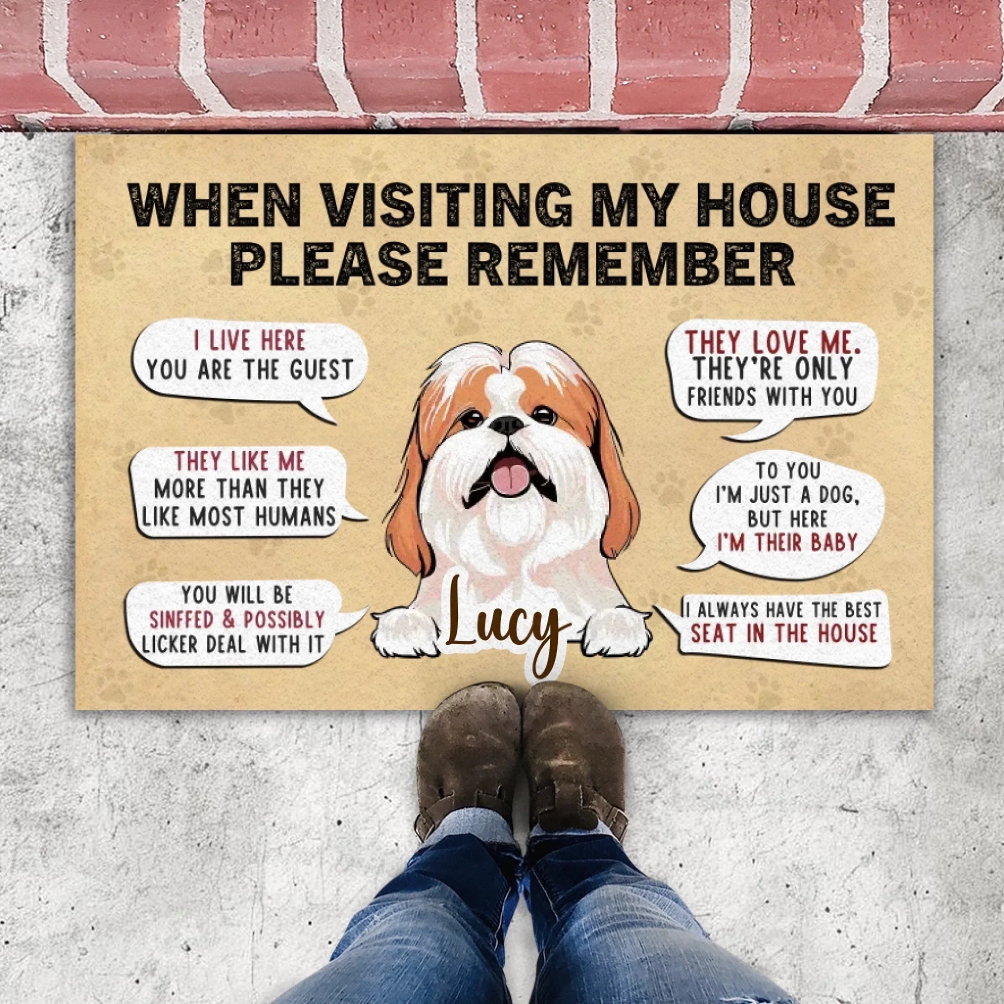 Sassy Dog Doormat – “When Visiting My House” Funny Personalized Mat - 89Prints