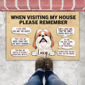 Sassy Dog Doormat – “When Visiting My House” Funny Personalized Mat - 89Prints