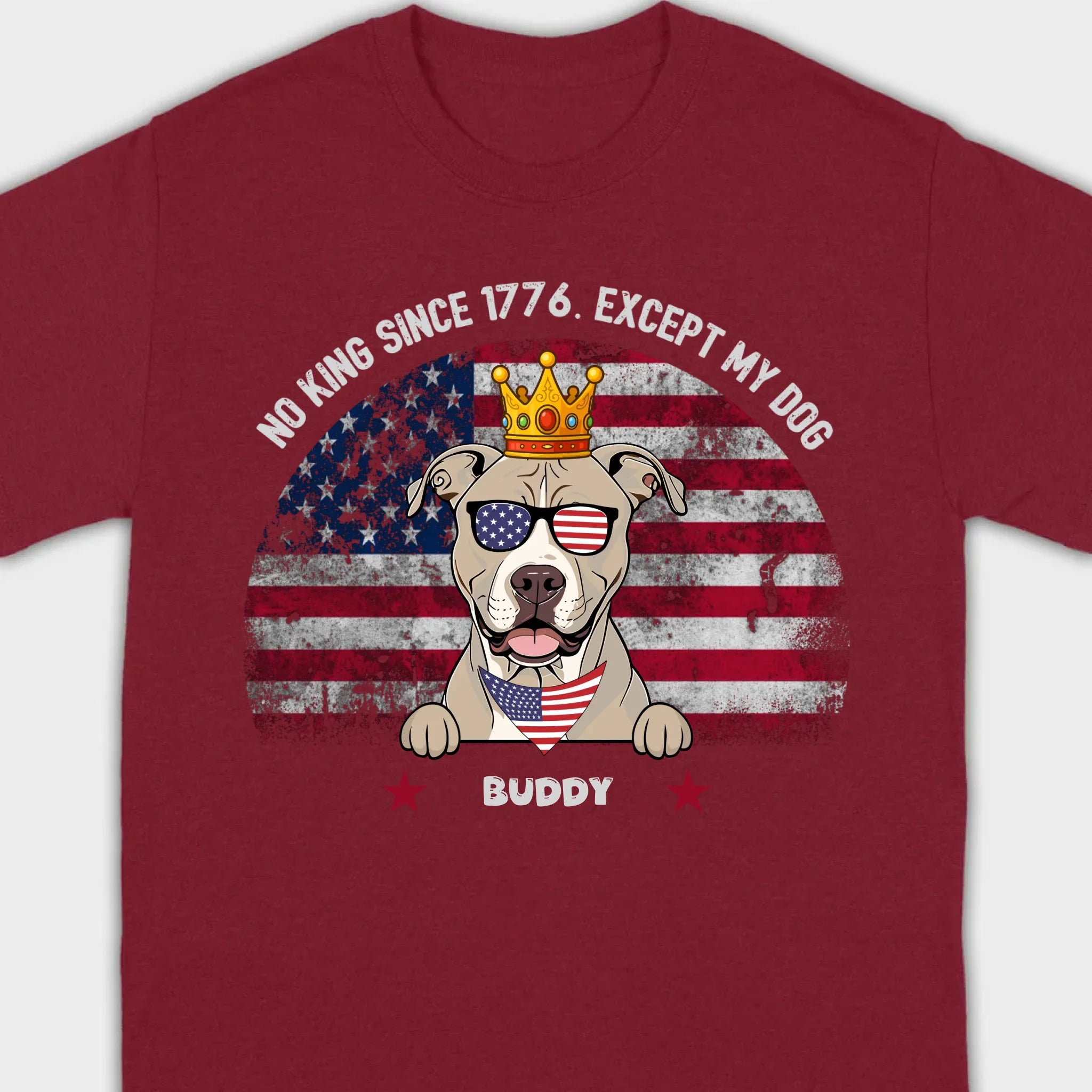 Custom No Kings Since 1776 Shirt – Personalized Dog Lover Tee | 89Prints