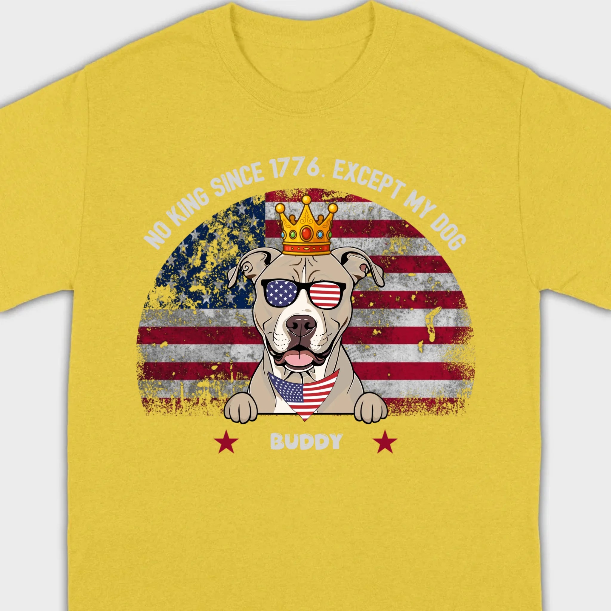 Custom No Kings Since 1776 Shirt – Personalized Dog Lover Tee | 89Prints
