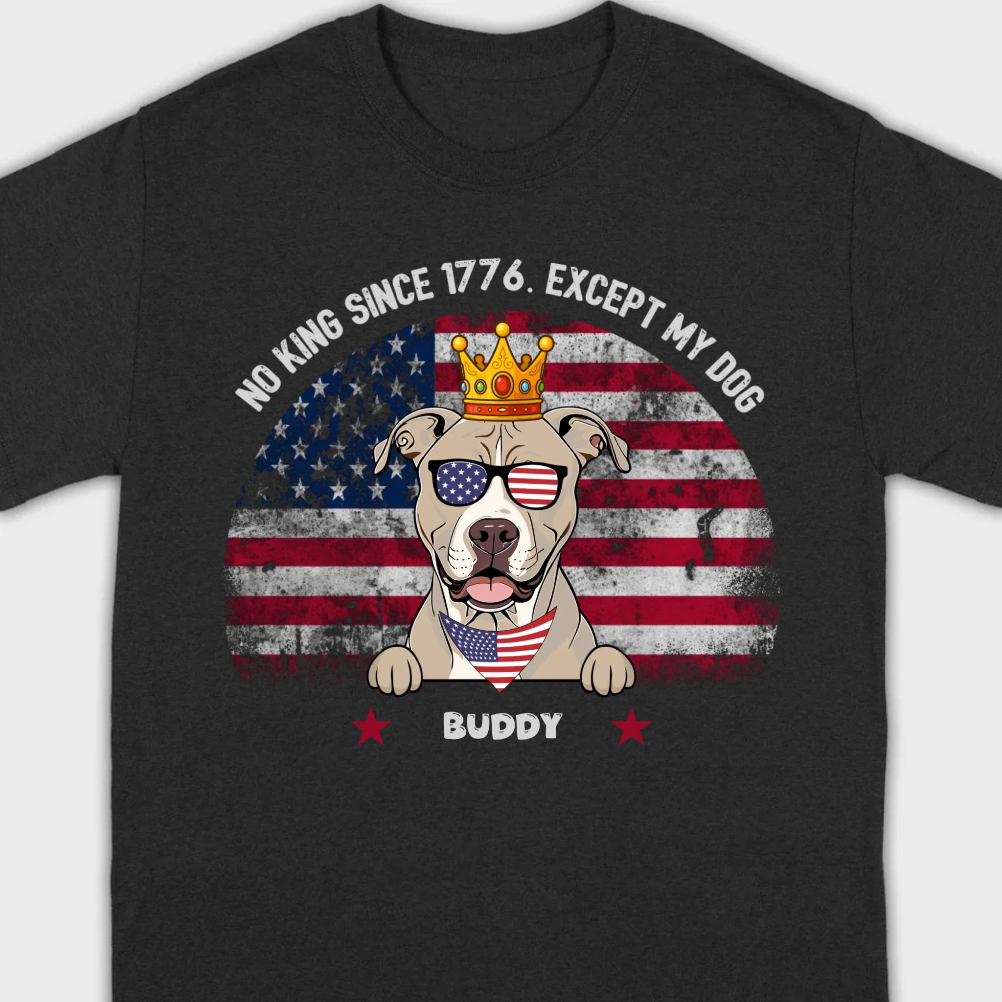 Custom No Kings Since 1776 Shirt – Personalized Dog Lover Tee | 89Prints