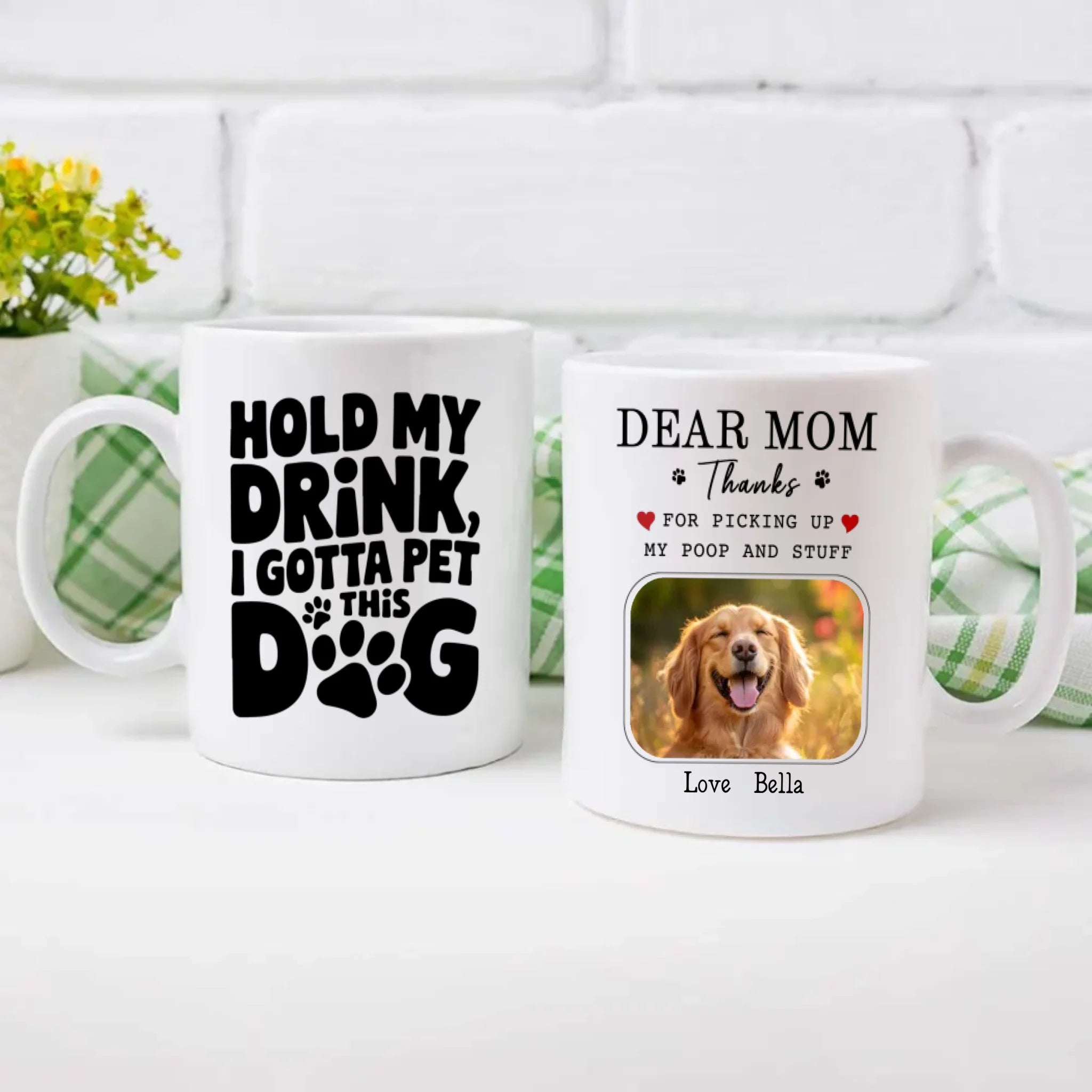 Funny Dog Mom Mug – Dear Mom, Thanks for Picking Up My Poop – 89Prints