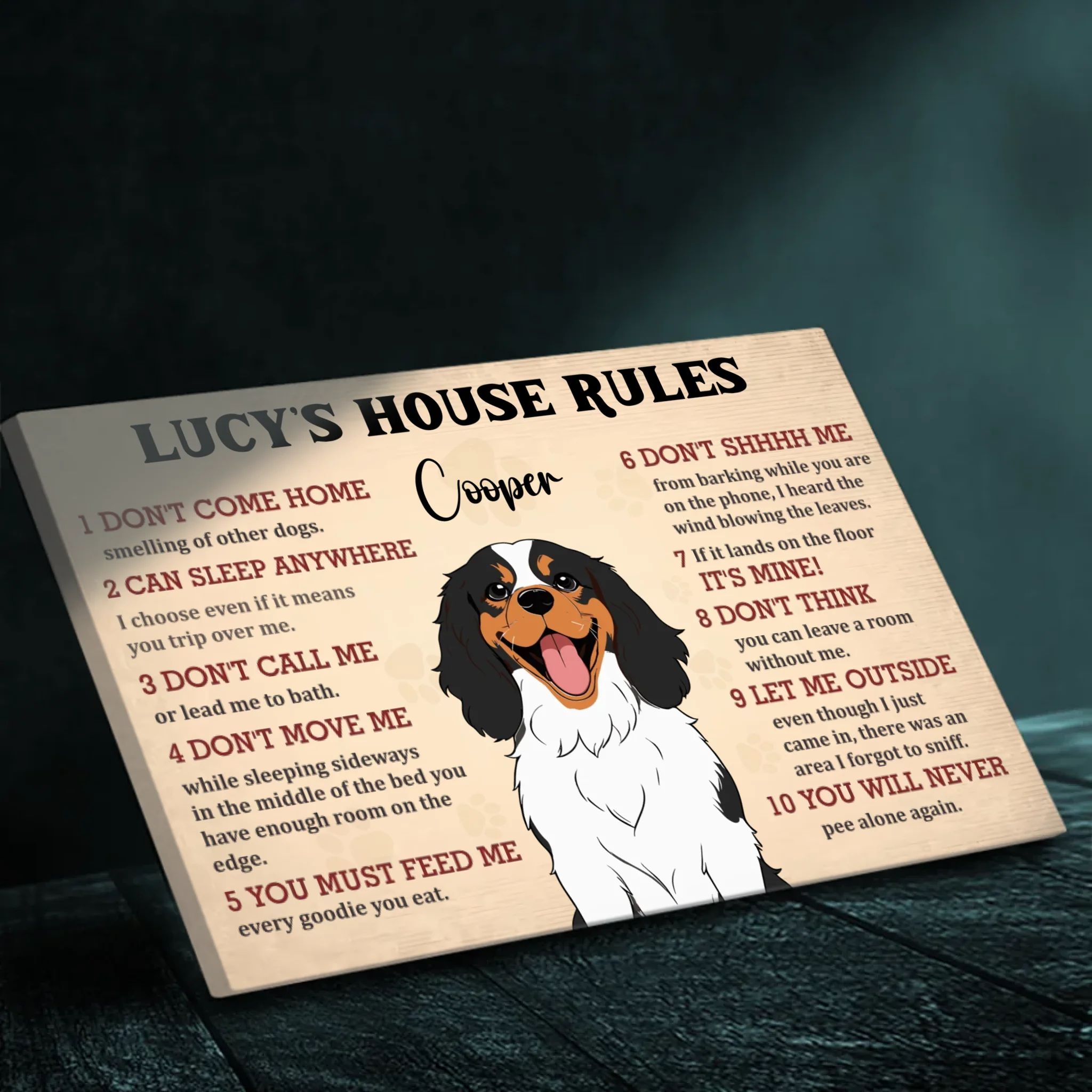 Dog House Rules Funny Canvas – Cute Pet Wall Decor - 89Prints