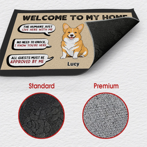 Welcome Doormat – Simple & Elegant Entryway Mat - 89Prints