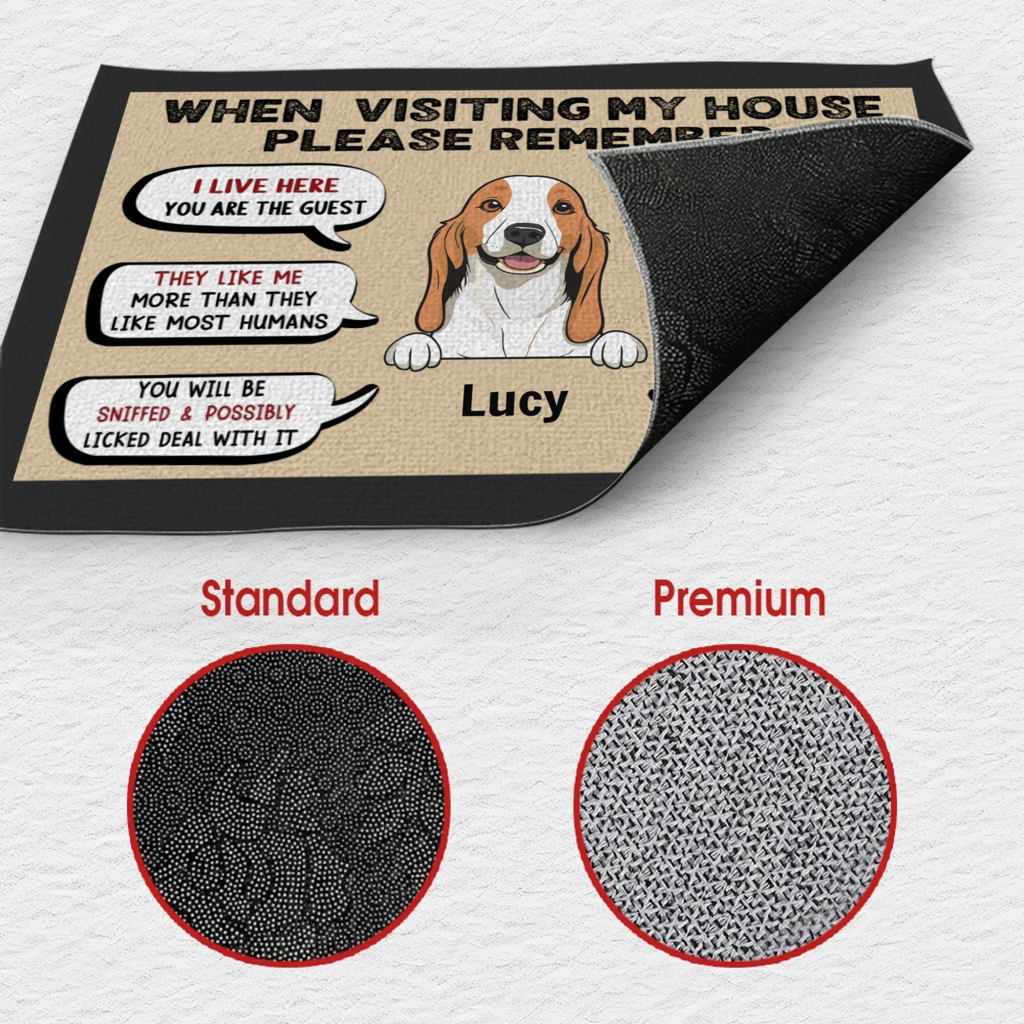 Funny Personalized Dog Doormat – When Visiting My House - 89Prints