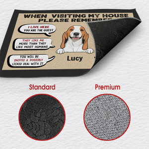 Funny Personalized Dog Doormat – When Visiting My House - 89Prints