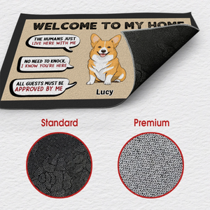 Welcome Doormat – Simple & Elegant Entryway Mat - 89Prints