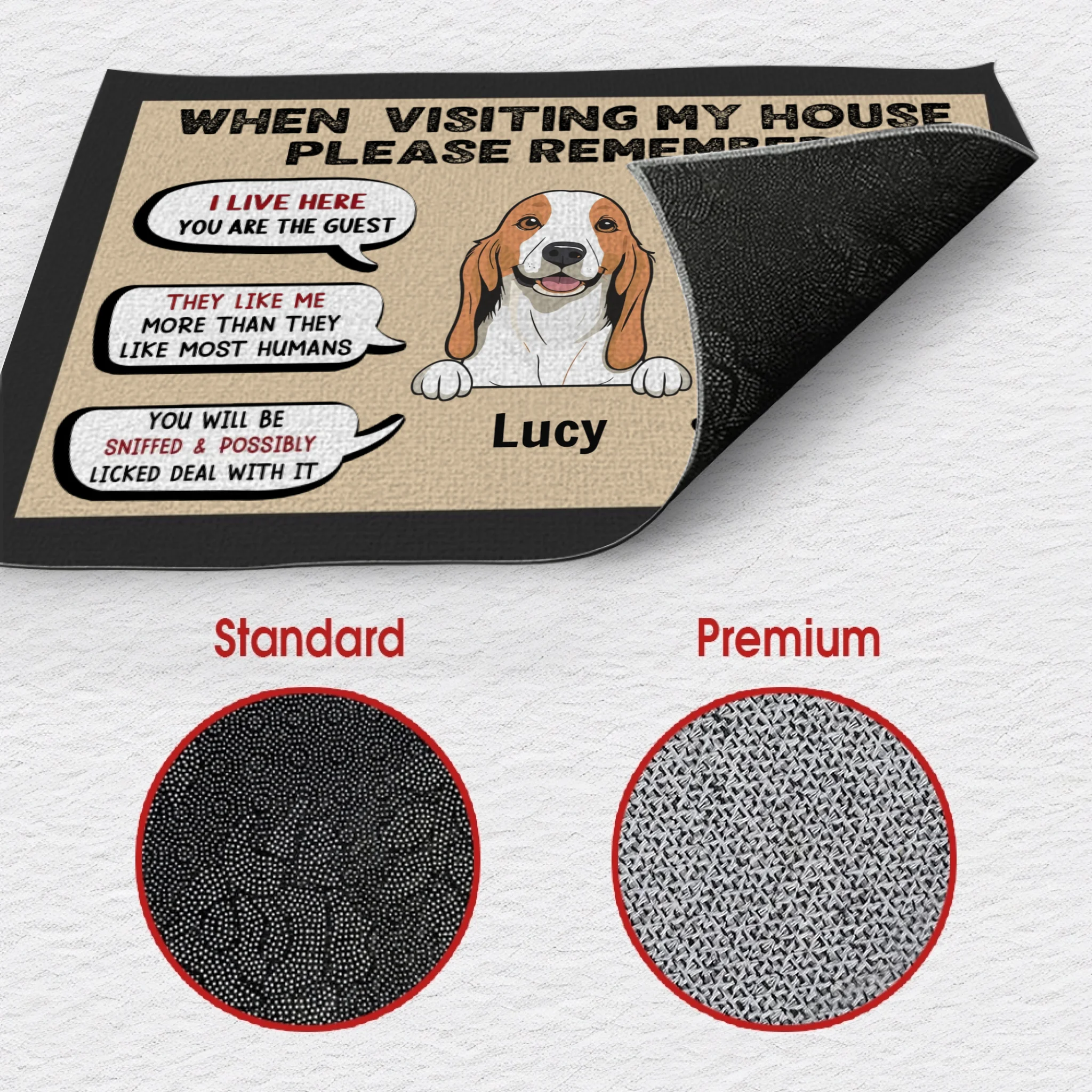 Funny Personalized Dog Doormat – When Visiting My House - 89Prints