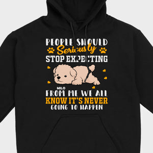 Custom Bichon Frise Sweatshirt With 
