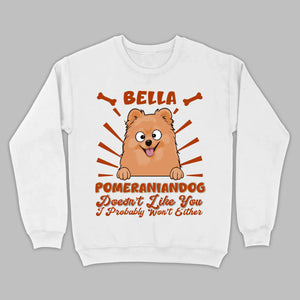 Custom Pomeranian Hoodie - Pomeranian Dog Doesn't Like You Personalized Name Basic Tee - 89Prints