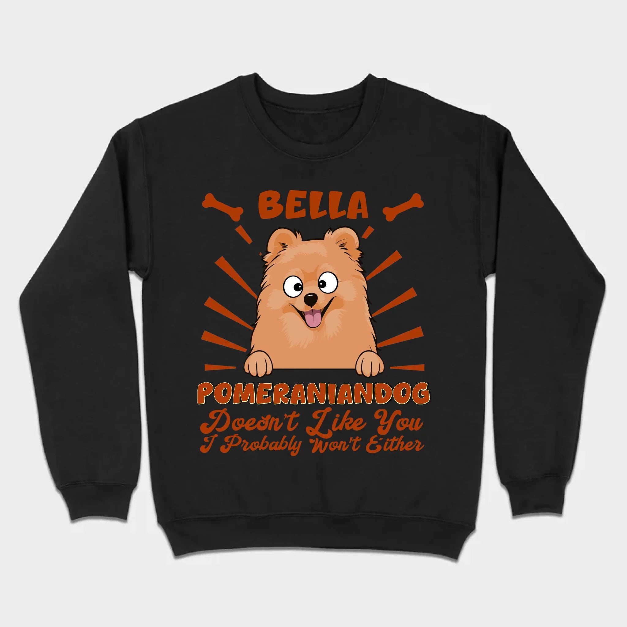 Custom Pomeranian Hoodie - Pomeranian Dog Doesn't Like You Personalized Name Basic Tee - 89Prints