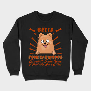 Custom Pomeranian Hoodie - Pomeranian Dog Doesn't Like You Personalized Name Basic Tee - 89Prints