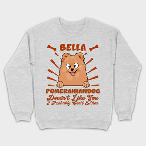 Custom Pomeranian Hoodie - Pomeranian Dog Doesn't Like You Personalized Name Basic Tee - 89Prints