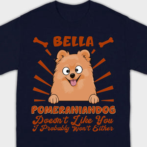 Custom Pomeranian Hoodie - Pomeranian Dog Doesn't Like You Personalized Name Basic Tee - 89Prints
