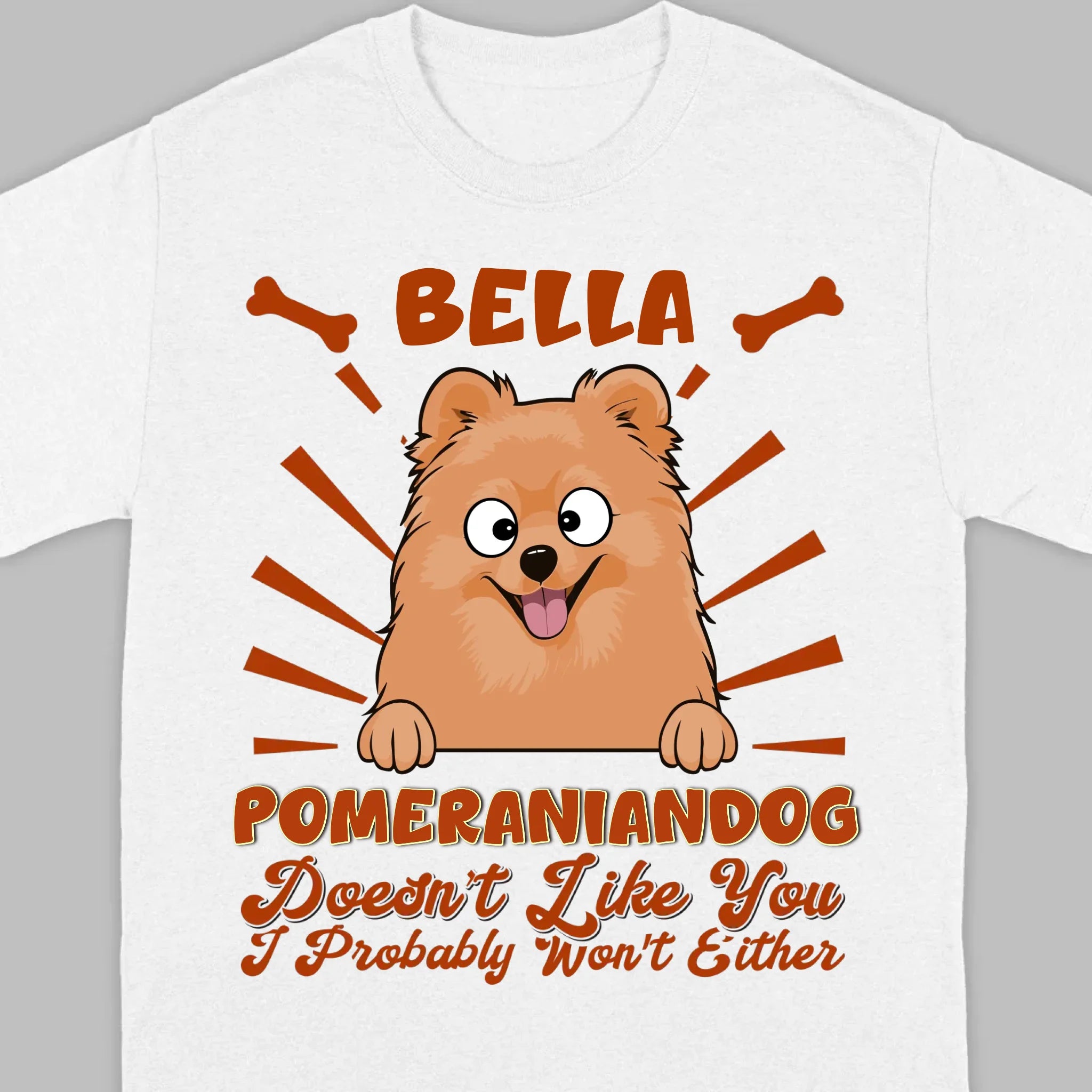 Custom Pomeranian Hoodie - Pomeranian Dog Doesn't Like You Personalized Name Basic Tee - 89Prints
