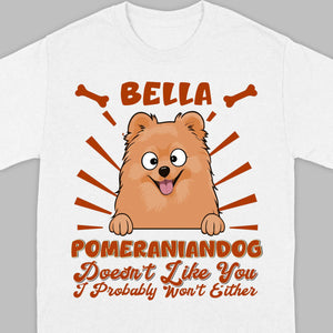 Custom Pomeranian Hoodie - Pomeranian Dog Doesn't Like You Personalized Name Basic Tee - 89Prints