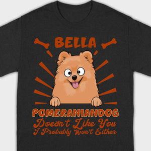 Custom Pomeranian Hoodie - Pomeranian Dog Doesn't Like You Personalized Name Basic Tee - 89Prints
