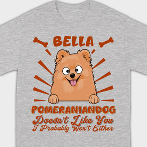 Custom Pomeranian Hoodie - Pomeranian Dog Doesn't Like You Personalized Name Basic Tee - 89Prints