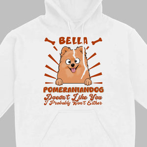 Custom Pomeranian Hoodie - Pomeranian Dog Doesn't Like You Personalized Name Basic Tee - 89Prints