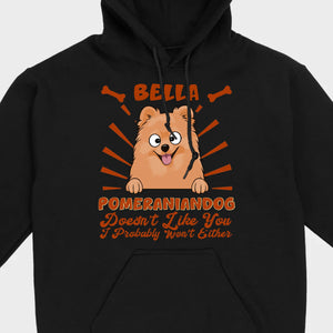 Custom Pomeranian Hoodie - Pomeranian Dog Doesn't Like You Personalized Name Basic Tee - 89Prints