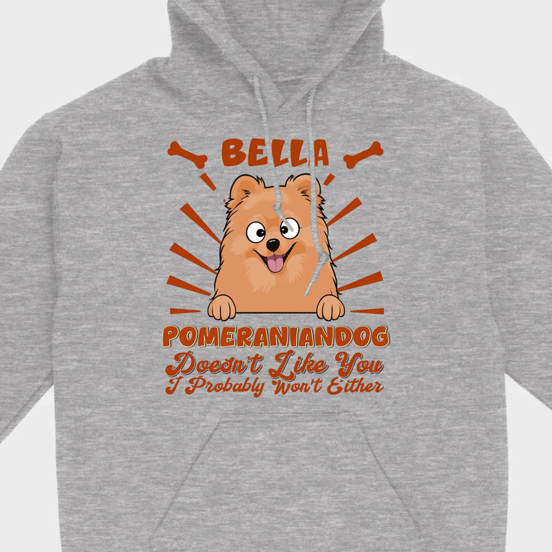 Custom Pomeranian Hoodie - Pomeranian Dog Doesn't Like You Personalized Name Basic Tee - 89Prints