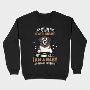 Dog Shirt With 