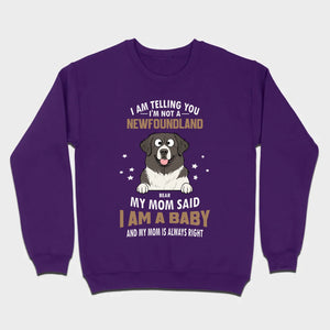 Dog Shirt With 