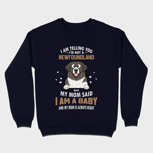 Dog Shirt With 