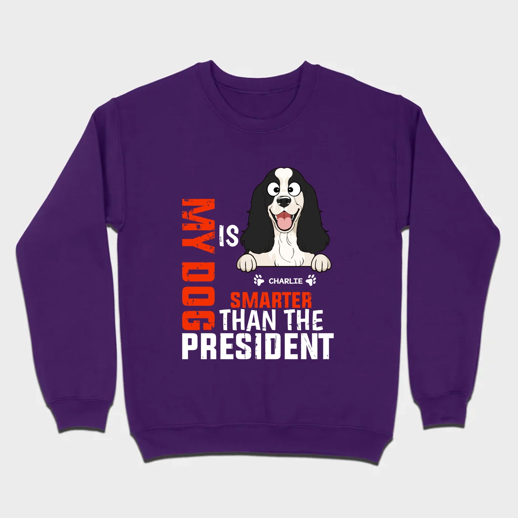 Funny Animal Lovers Shirt My Dog Is Smarter Than The President - 89Prints