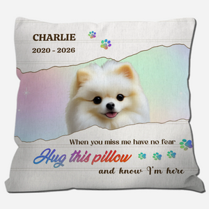 Hug This Pillow And Know I’m Here – Signature Dog Memorial Pillow Gift - 89Prints